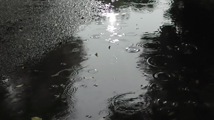 凌晨雨滴 雨天城市绿化 雨夜冷晨孤独伤感