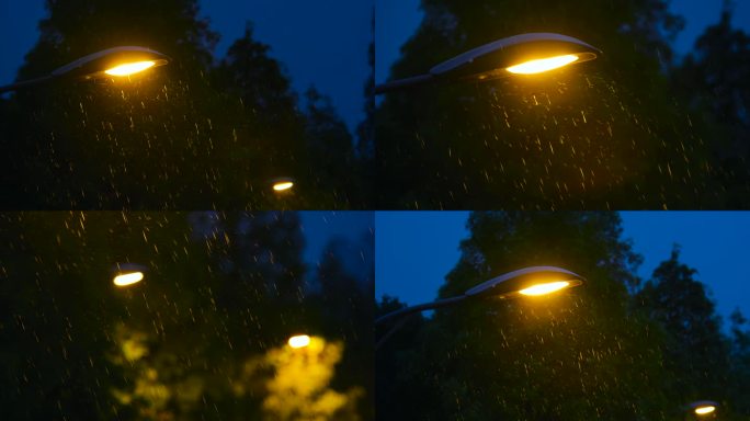 城市雨夜路灯