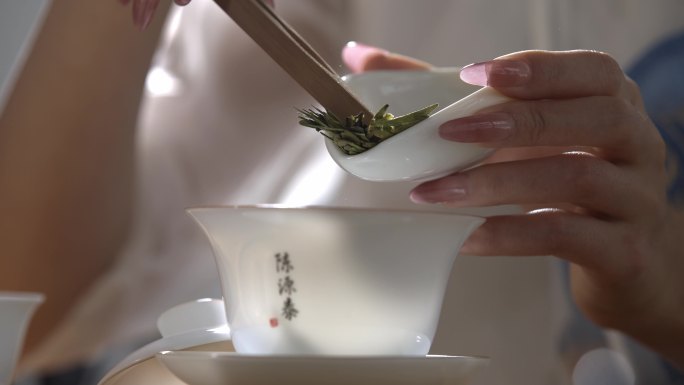 绿茶 品茶 沏茶