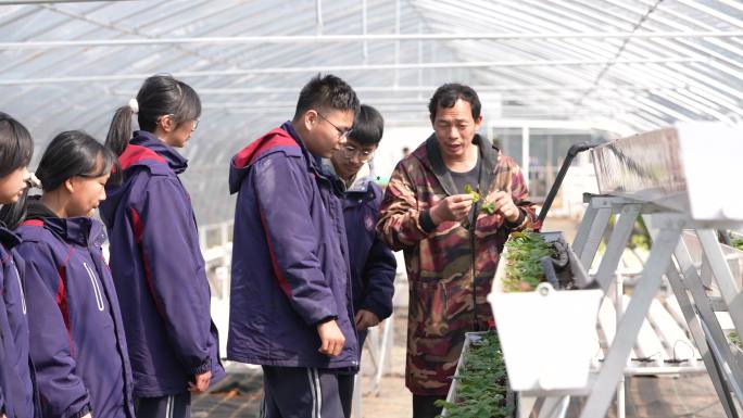 学生年轻人参加农业无土栽培种植培训
