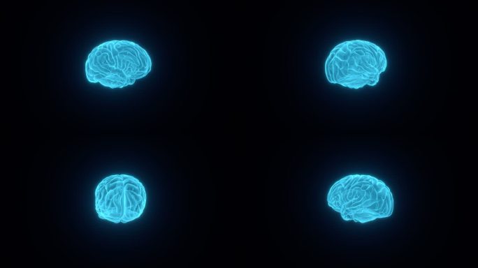 HUD科技大脑动画素材