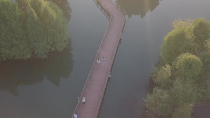 太湖贡湖湾湿地公园航拍素材