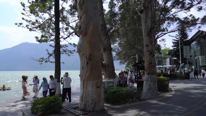 旅游滇池海埂公园