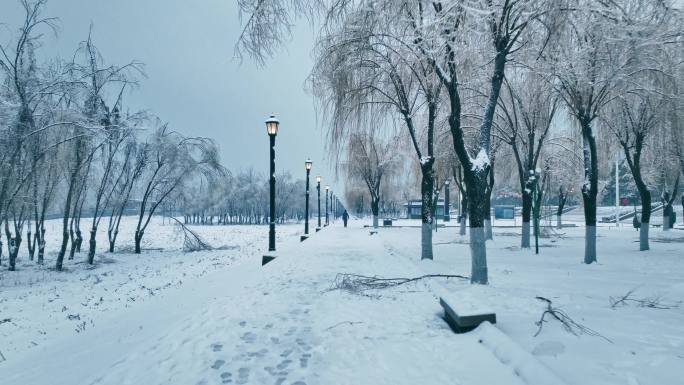 武汉城市地标雪景光谷东湖黄鹤楼江滩雪景