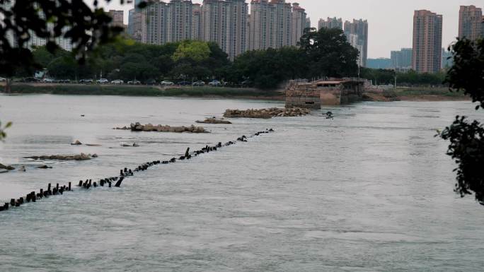 泉州顺济桥遗址以及顺济新桥