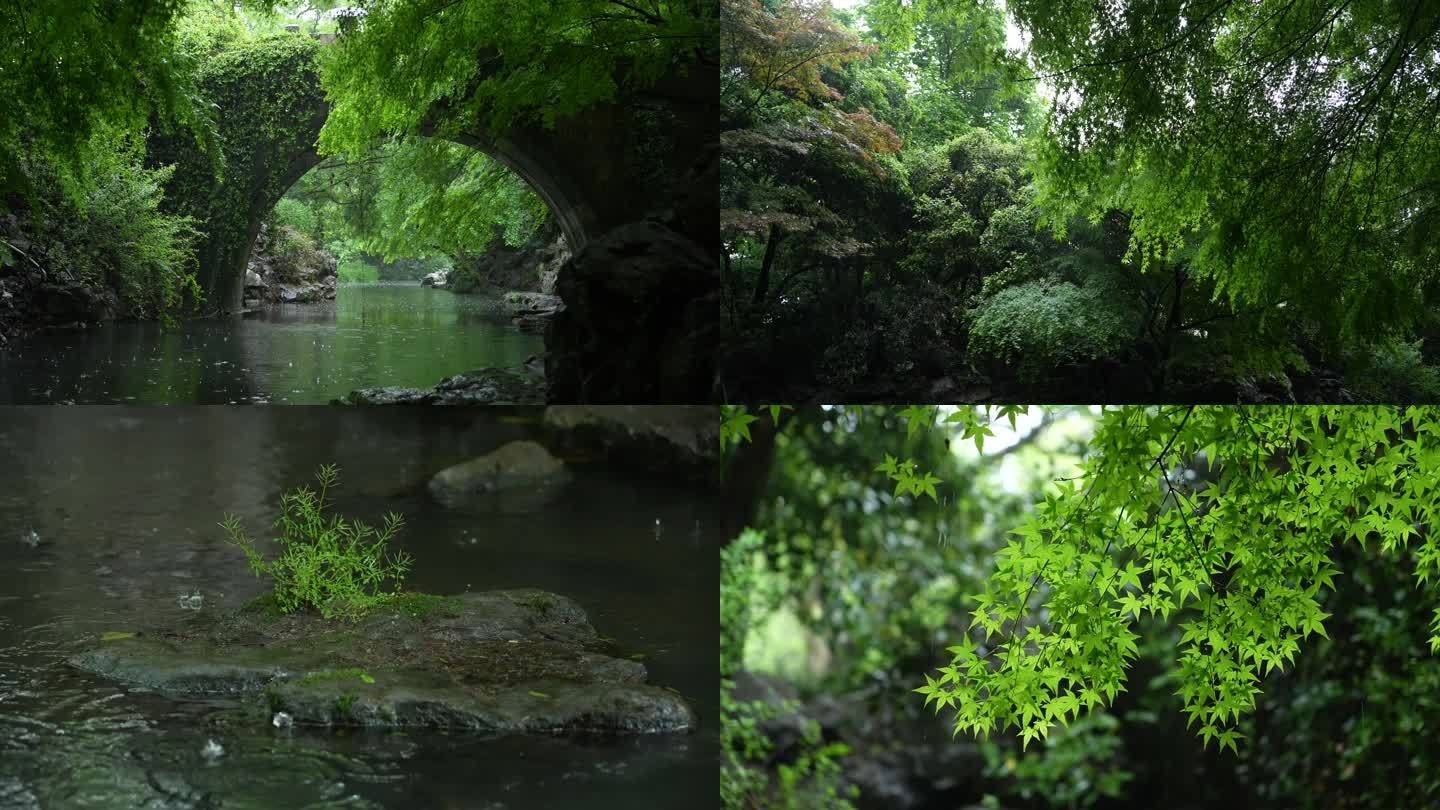 杭州柳浪闻莺新横河桥下雨空镜头