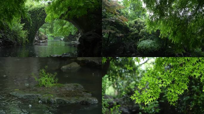 杭州柳浪闻莺新横河桥下雨空镜头