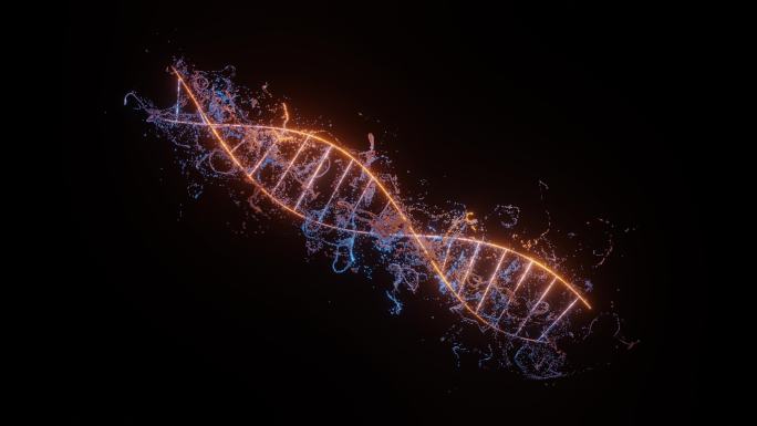 DNA