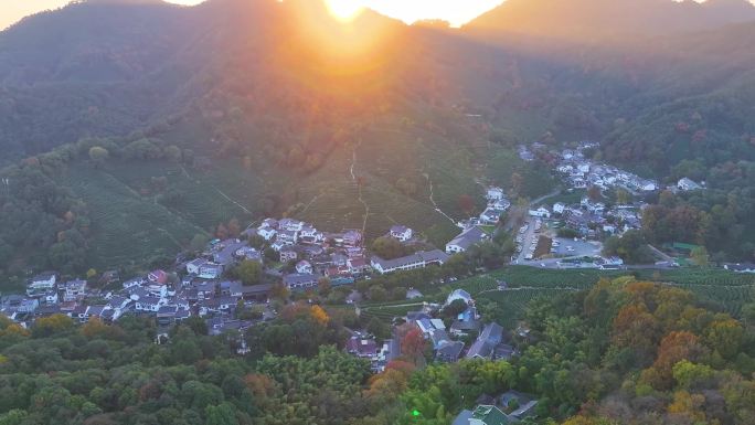 唯美杭州西湖龙井茶文化景区航拍茶园地茶叶