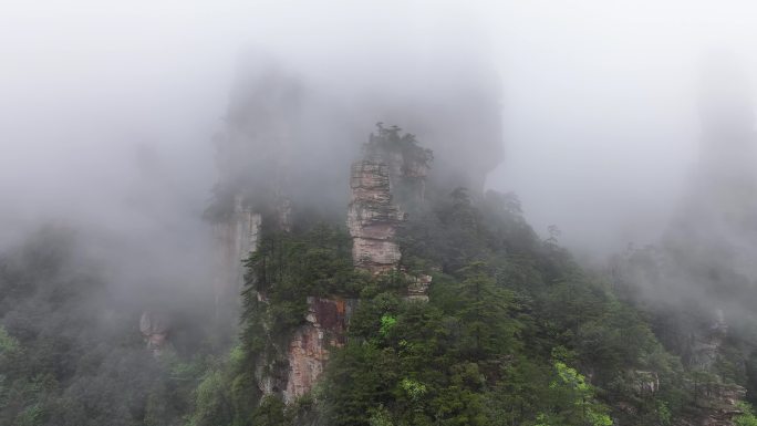 金鸡独立云雾缭绕