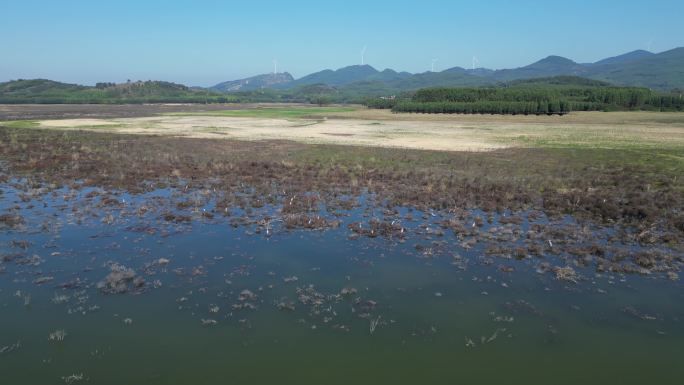 湖泊湿地风景