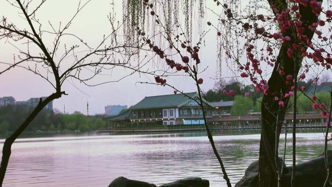 陕西西安曲江公园随拍春天景色游人落日
