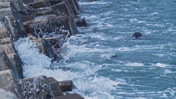 海水冲刷防护堤坝