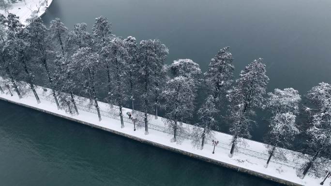 武汉地标东湖雪景
