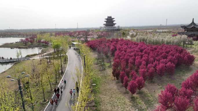 3月27长焦凤凰桥嫘祖海棠园204