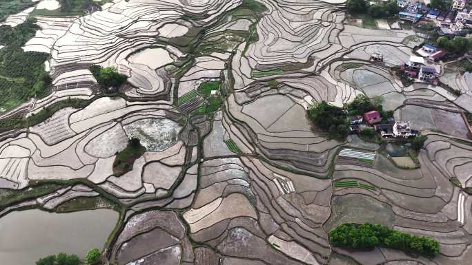 春天阳光下桂林全州的洼地梯田蓄满了水