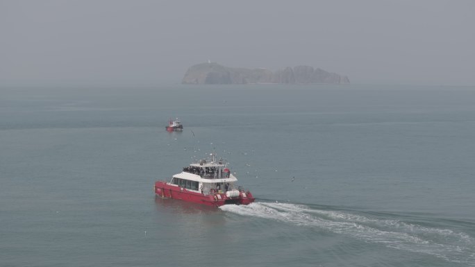 航拍山东荣成海驴岛景区环岛游快艇游客海鸥