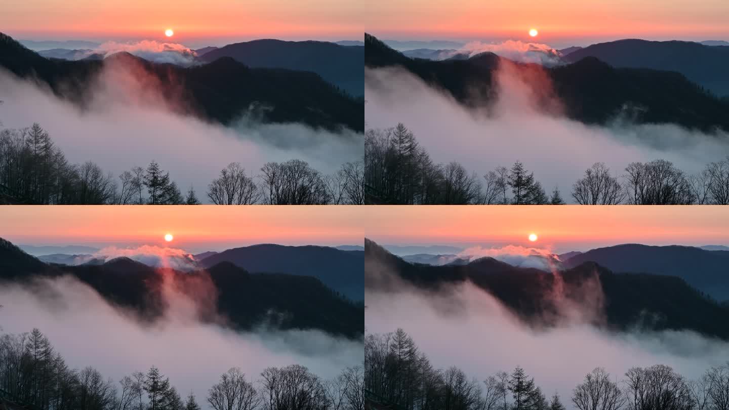 日出时山间流动的云雾