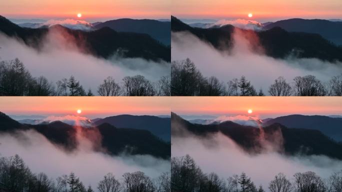 日出时山间流动的云雾