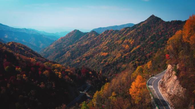 大山群山高山秋天红叶秋季彩林