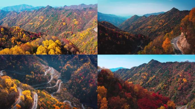 大山群山高山秋天红叶秋季彩林