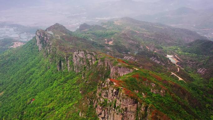 浙江温岭上保山，杜鹃花盛开，悬崖上的风光