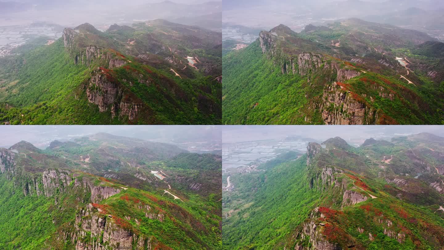 浙江温岭上保山，杜鹃花盛开，悬崖上的风光