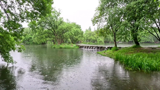 下雨天绿野仙山川河流绿树成荫
