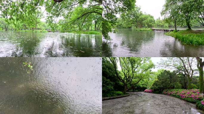 下雨天绿野仙山川河流绿树成荫