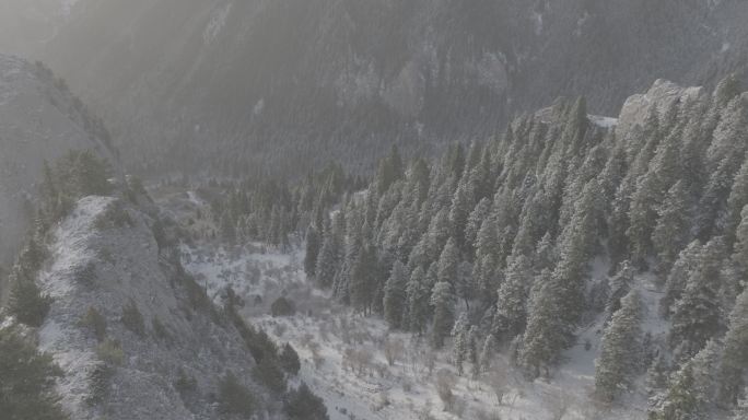 甘肃甘南碌曲则岔石林雪景日出航拍DLOG