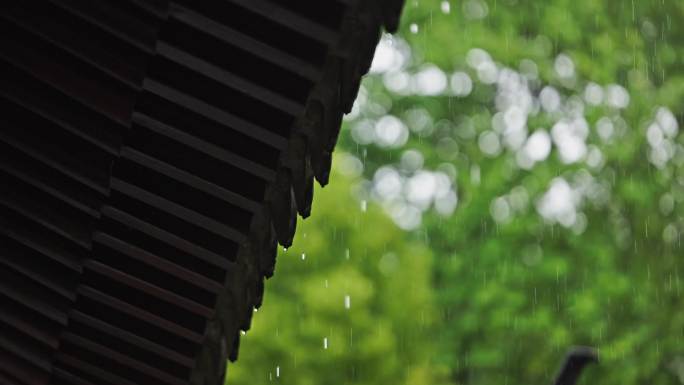 西湖郭庄春雨素材