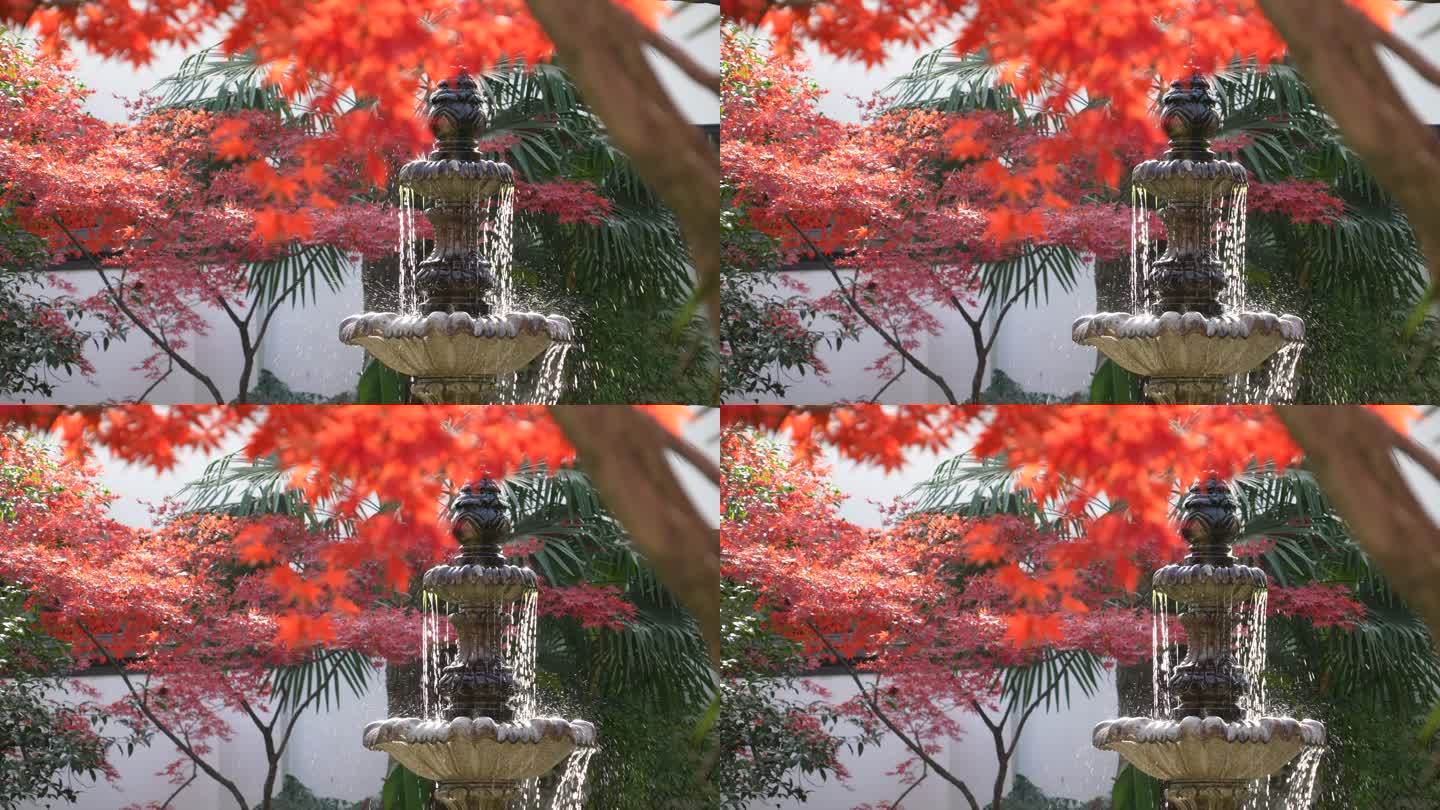 秋天红色枫叶和欧式喷泉