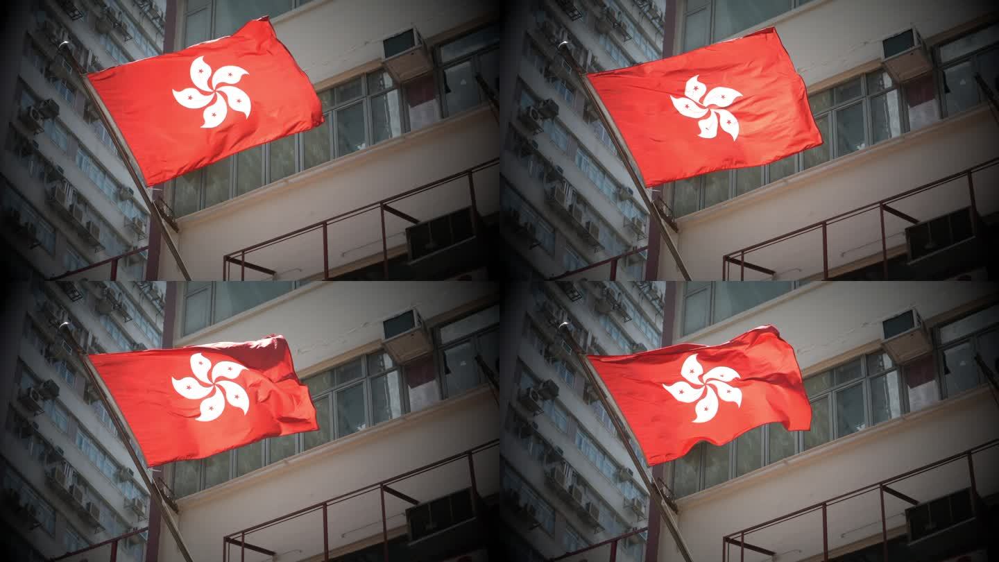 香港街景码头空镜