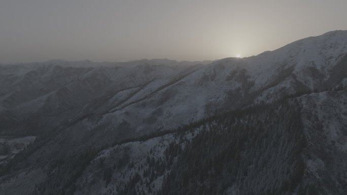 甘肃甘南碌曲则岔石林雪景日出航拍DLOG