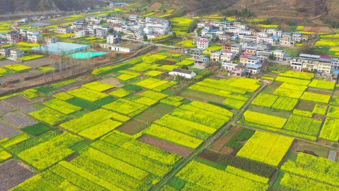 油菜花开（郧西） 美丽乡村