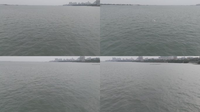 【4k】湛江渔港公园追鸟海景航拍大疆