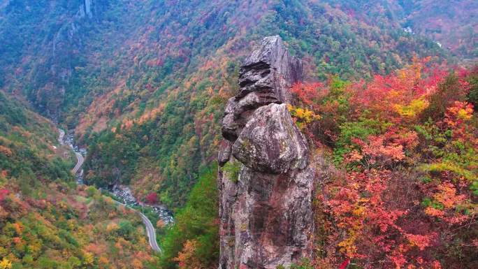 大山群山高山秋天红叶秋季彩林 (7)