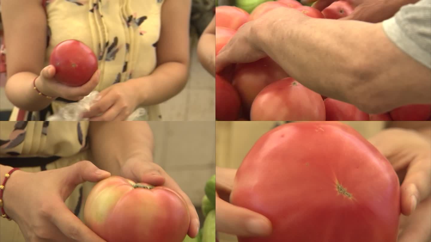 菜市场 西红柿 番茄 外观 挑选 选购