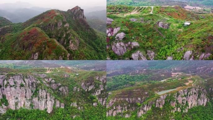 浙江温岭上保山，杜鹃花盛开，悬崖上的风光