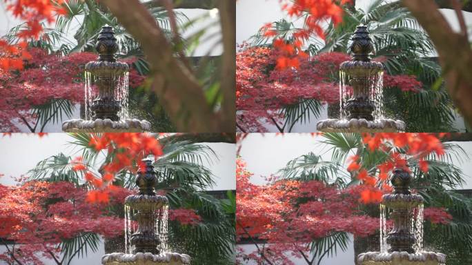 秋天红色枫叶和欧式喷泉