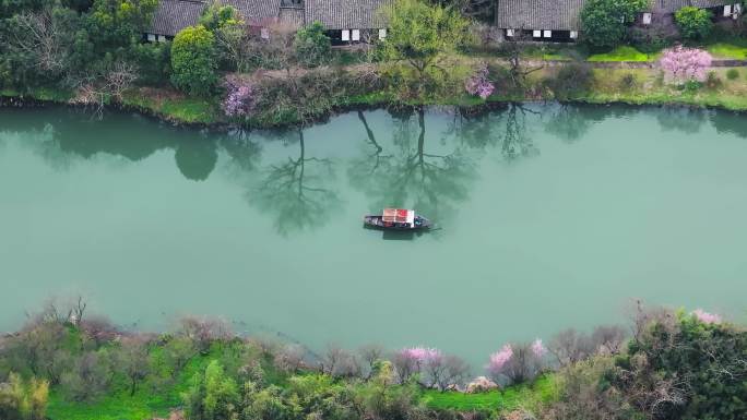 杭州西溪湿地春天美景航拍