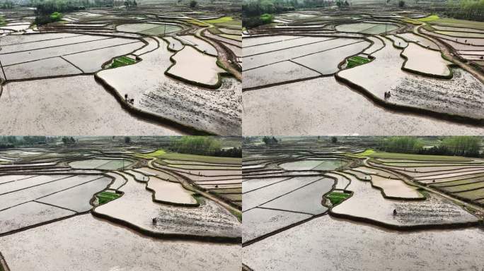 春天阳光下桂林全州的洼地梯田蓄满了水