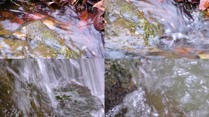 植物园公园小溪流水水中倒影特写风景视频素