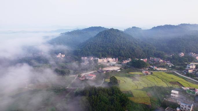 广州从化区桂峰村美丽乡村云海日出晨雾航拍