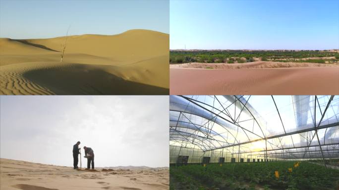 沙漠 沙漠越野 沙障 沙漠植树 沙漠绿化