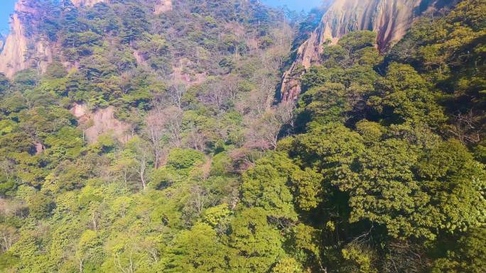 安徽黄山风景视频素材9