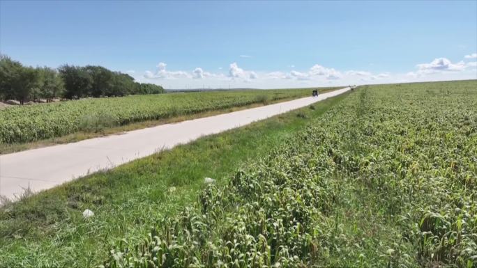 乡村振兴道路公路田野希望农村梧桐花翁牛特