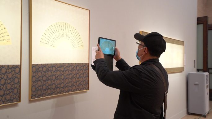 手机拍照 老人手机拍照 美术馆 书法字画