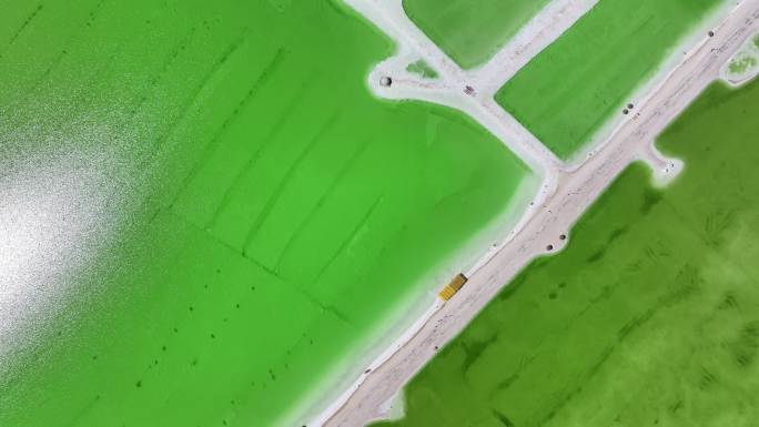 察尔汗盐湖：白色盐晶和绿色卤水