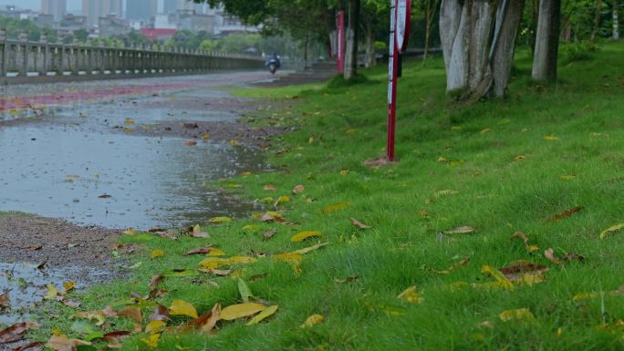 下雨雨滴雨水雨天骑车出行